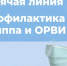 «Горячая линия» по профилактике гриппа и ОРВИ! - Нуримановский район